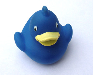 small duck for promotion